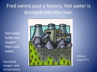 Fred swims past a factory. Hot water is
dumped into the river.
Hot water
holds less
oxygen
then cold
water.
How is
Fred????
Dissolved
oxygen and
temperature
 