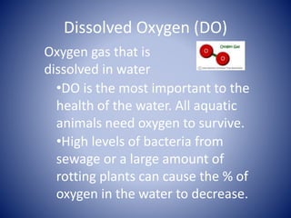 Dissolved Oxygen (DO)
Oxygen gas that is
dissolved in water
•DO is the most important to the
health of the water. All aquatic
animals need oxygen to survive.
•High levels of bacteria from
sewage or a large amount of
rotting plants can cause the % of
oxygen in the water to decrease.
 
