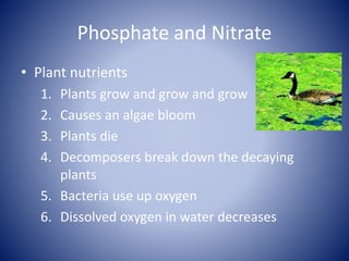 Phosphate and Nitrate
• Plant nutrients
1. Plants grow and grow and grow
2. Causes an algae bloom
3. Plants die
4. Decomposers break down the decaying
plants
5. Bacteria use up oxygen
6. Dissolved oxygen in water decreases
 