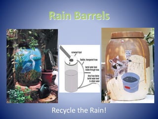 Rain Barrels
Recycle the Rain!
 