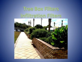Tree Box Filters
Infiltration Filters
 