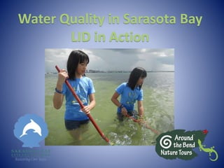Water Quality in Sarasota Bay
LID in Action
 