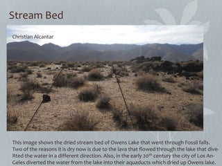 Stream Bed
This image shows the dried stream bed of Owens Lake that went through Fossil falls.
Two of the reasons it is dry now is due to the lava that flowed through the lake that dive-
Rted the water in a different direction. Also, in the early 20th century the city of Los An-
Geles diverted the water from the lake into their aquaducts which dried up Owens lake.
Christian Alcantar
March 9th 2013
 