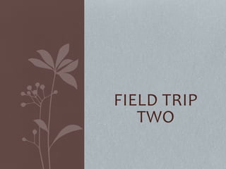 FIELD TRIP
TWO
 