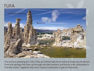 TUFA
The arrow is pointing at a Tufa. They are former lake lever and are made out of calcium
From the springs that flow up through the lake bottom, and bonds with carbonates in
The lake water. Together they form calcium-carbonate a type of limestone.
Christian Alcantar
April 6th 2013
 