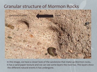 Granular structure of Mormon Rocks
In this image, we have a closer look of the sandstone that make up Mormon rocks.
It has a sand paper texture and we can see some layers the rock has. This layers show
the different natural events it has undergone.
LayerChristian Alcantar
March 9th 2013
 