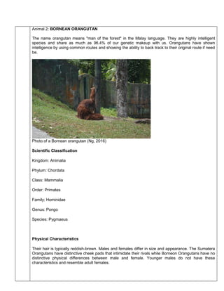 Biodiversity in Malaysia - Zoo Negara report with 6 animals