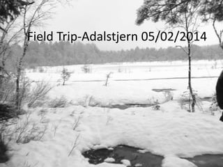 Field Trip-Adalstjern 05/02/2014

 