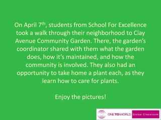 On April 7th, students from School For Excellence
took a walk through their neighborhood to Clay
Avenue Community Garden. There, the garden’s
coordinator shared with them what the garden
does, how it’s maintained, and how the
community is involved. They also had an
opportunity to take home a plant each, as they
learn how to care for plants.
Enjoy the pictures!
 