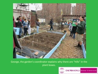 George, the garden’s coordinator explains why there are “hills” in the
plant boxes.
 