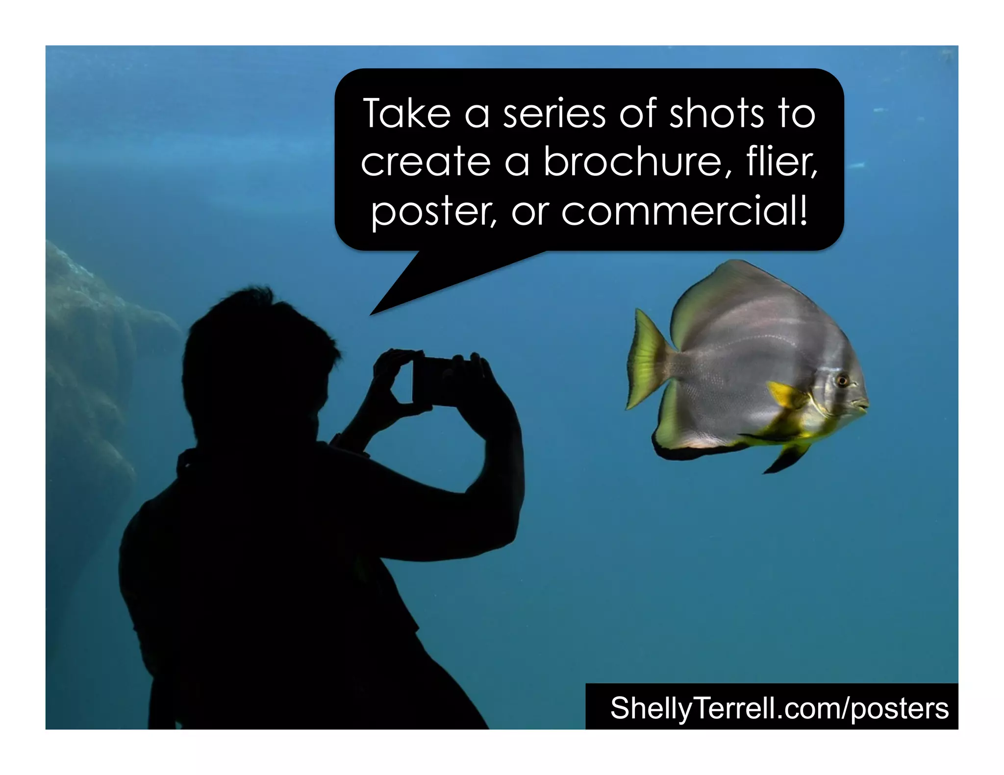 Take a series of shots to
create a brochure, flier,
poster, or commercial!
ShellyTerrell.com/posters