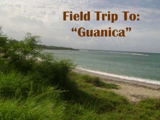 Field Trip To:“Guanica” 
