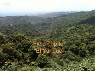 Field Trip to “El Yunque” 