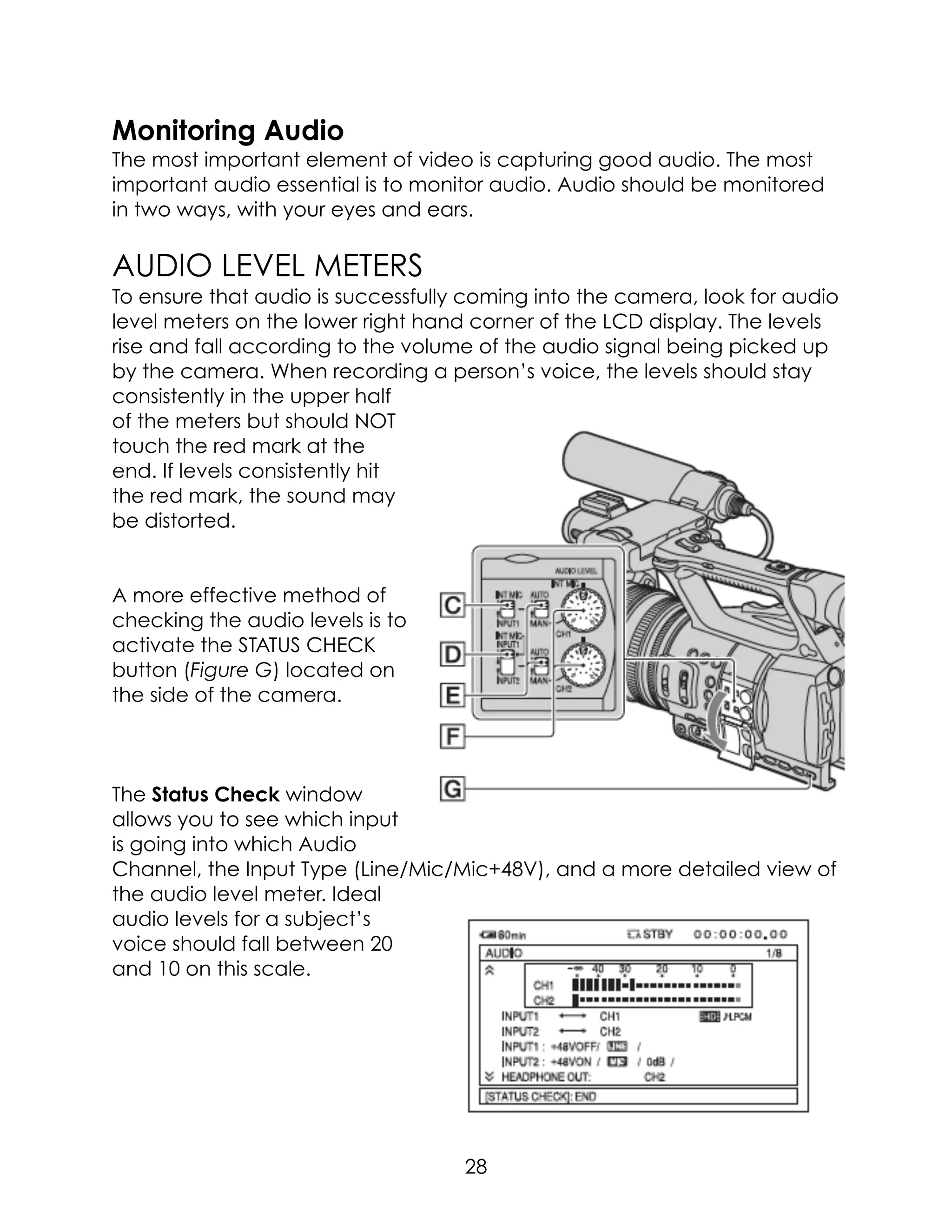 Monitoring Audio
The most important element of video is capturing good audio. The most
important audio essential is to monitor audio. Audio should be monitored
in two ways, with your eyes and ears.
AUDIO LEVEL METERS
To ensure that audio is successfully coming into the camera, look for audio
level meters on the lower right hand corner of the LCD display. The levels
rise and fall according to the volume of the audio signal being picked up
by the camera. When recording a person’s voice, the levels should stay
consistently in the upper half
of the meters but should NOT
touch the red mark at the
end. If levels consistently hit
the red mark, the sound may
be distorted.
A more effective method of
checking the audio levels is to
activate the STATUS CHECK
button (Figure G) located on
the side of the camera.
The Status Check window
allows you to see which input
is going into which Audio
Channel, the Input Type (Line/Mic/Mic+48V), and a more detailed view of
the audio level meter. Ideal
audio levels for a subject’s
voice should fall between 20
and 10 on this scale.
28
 