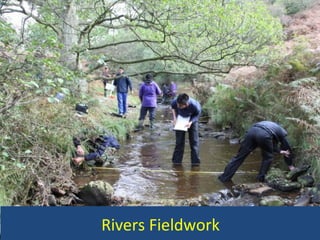 Rivers Fieldwork 
 