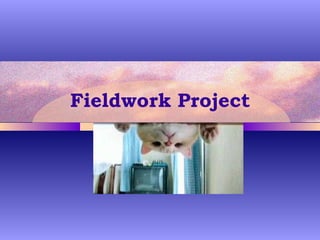 Fieldwork Project 