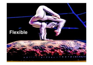 Flexible
 