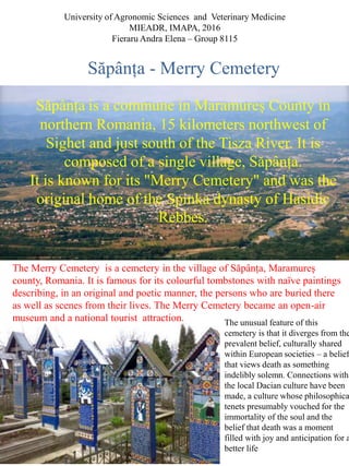 University of Agronomic Sciences and Veterinary Medicine
MIEADR, IMAPA, 2016
Fieraru Andra Elena – Group 8115
Săpânța - Merry Cemetery
Săpânța is a commune in Maramureș County in
northern Romania, 15 kilometers northwest of
Sighet and just south of the Tisza River. It is
composed of a single village, Săpânța.
It is known for its "Merry Cemetery" and was the
original home of the Spinka dynasty of Hasidic
Rebbes.
The Merry Cemetery is a cemetery in the village of Săpânța, Maramureş
county, Romania. It is famous for its colourful tombstones with naïve paintings
describing, in an original and poetic manner, the persons who are buried there
as well as scenes from their lives. The Merry Cemetery became an open-air
museum and a national tourist attraction. The unusual feature of this
cemetery is that it diverges from the
prevalent belief, culturally shared
within European societies – a belief
that views death as something
indelibly solemn. Connections with
the local Dacian culture have been
made, a culture whose philosophica
tenets presumably vouched for the
immortality of the soul and the
belief that death was a moment
filled with joy and anticipation for a
better life
 