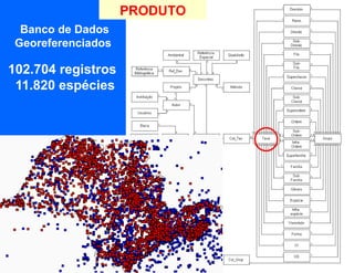 PRODUTO
  Banco de Dados
 Georeferenciados

102.704 registros
 11.820 espécies
 