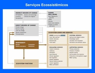 Serviços Ecossistêmicos
 