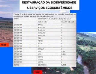 RESTAURAÇÃO DA BIODIVERSIDADE
         & SERVIÇOS ECOSSISTÊMICOS




1986




             1996
 