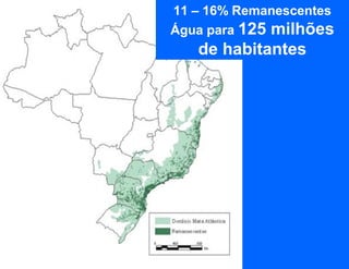 11 – 16% Remanescentes
Água para 125 milhões
   de habitantes
 