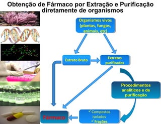 Obtenção de Fármaco por Extração e Purificação
          diretamente de organismos
                      Organismos vivos
                      Organismos vivos
                      (plantas, fungos,
                       (plantas, fungos,
                        animais, etc)
                         animais, etc)




                                     Extratos
                                      Extratos
                                   purificados
                                    purificados




                                            Procedimentos
                                            Procedimentos
                                            analíticos e de
                                             analíticos e de
                                              purificação
                                              purificação


                          Compostos
                          Compostos
           Fármaco
           Fármaco         isolados
                            isolados
                           Frações
                           Frações
 