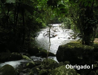 Dankeschön
Obrigado !!
Thank you
 