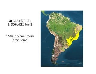 área original:
1.306.421 km2


15% do território
   brasileiro
 