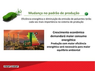 Eficiência energética e diminuição da emissão de poluentes terão
cada vez mais importância no sistema de produção
Crescimento econômico
demandará maior consumo
energético
Produção com maior eficiência
energética será necessária para maior
equilíbrio ambiental
Mudança no padrão de produção
 