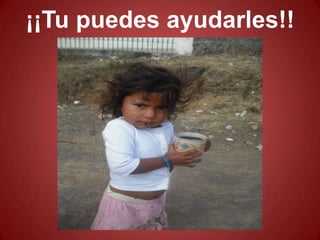 ¡¡Tu puedes ayudarles!!
 