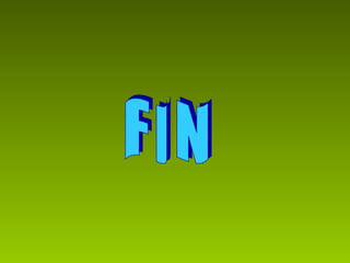 F I N 