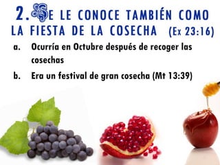 a. Ocurría en Octubre después de recoger las
   cosechas
b. Era un festival de gran cosecha (Mt 13:39)
 