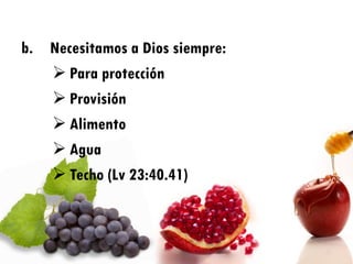 b. Necesitamos a Dios siempre:
    Para protección
    Provisión
    Alimento
    Agua
    Techo (Lv 23:40.41)
 