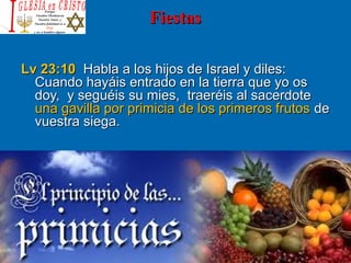 FiestasFiestas
Lv 23:10Lv 23:10 Habla a los hijos de Israel y diles:Habla a los hijos de Israel y diles:
Cuando hayáis entrado en la tierra que yo osCuando hayáis entrado en la tierra que yo os
doy, y seguéis su mies, traeréis al sacerdotedoy, y seguéis su mies, traeréis al sacerdote
una gavilla por primicia de los primeros frutosuna gavilla por primicia de los primeros frutos dede
vuestra siega.vuestra siega.
 