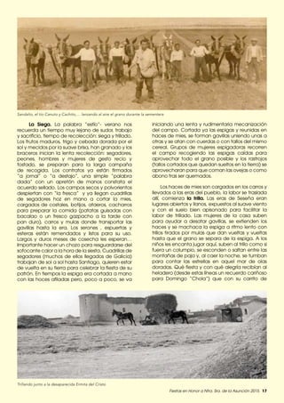 Fiestas en Honor a Ntra. Sra. de la Asunción 2015. 17
Trillando junto a la desaparecida Ermita del Cristo
Sandalio, el tío Canuto y Cachito,… lanzando al aire el grano durante la sementera
La Siega. La palabra “estío”- verano nos
recuerda un tiempo muy lejano de sudor, trabajo
y sacrificio, tiempo de recolección: siega y trillado.
Los frutos maduros, trigo y cebada dorada por el
sol y mecidos por la suave brisa, han granado y los
braceros inician la lenta recolección: segadores,
peones, hombres y mujeres de gesto recio y
tostado, se preparan para la larga campaña
de recogida. Los contratos ya están firmados
“a jornal” o “a destajo”, una simple “palabra
dada” con un apretón de manos constata el
acuerdo sellado. Los campos secos y polvorientos
despiertan con “la fresca” y ya llegan cuadrillas
de segadores hoz en mano a cortar la mies,
cargados de costales, botijos, ataeros, cacharros
para preparar la comida (patatas guisadas con
bacalao o un fresco gazpacho a la tarde con
pan duro), carros y mulas donde transportar las
gavillas hasta la era. Los serones , espuertas y
esteras están remendados y listos para su uso.
Largos y duros meses de cosecha les esperan…
Importante hacer un chozo para resguardarse del
sofocante calor a la hora de la siesta. Cuadrillas de
segadores (muchos de ellos llegados de Galicia)
trabajan de sol a sol hasta Santiago, quieren estar
de vuelta en su tierra para celebrar la fiesta de su
patrón. En tiempos la espiga era cortada a mano
con las hoces afiladas pero, poco a poco, se va
iniciando una lenta y rudimentaria mecanización
del campo. Cortada ya las espigas y reunidas en
haces de mies, se forman gavillas uniendo unas a
otras y se atan con cuerdas o con tallos del mismo
cereal. Grupos de mujeres espigadoras recorren
el campo recogiendo las espigas caídas para
aprovechar todo el grano posible y los rastrojos
(tallos cortados que quedan sueltos en la tierra) se
aprovecharan para que coman las ovejas o como
abono tras ser quemados.
Los haces de mies son cargados en los carros y
llevados a las eras del pueblo, la labor se traslada
allí, comienza la trilla. Las eras de Seseña eran
lugares abiertos y llanos, expuestos al suave viento
y con el suelo bien apisonado para facilitar la
labor de trillado. Las mujeres de la casa suben
para ayudar a desatar gavillas, se extienden los
haces y se machaca la espiga a ritmo lento con
trillos tirados por mulas que dan vueltas y vueltas
hasta que el grano se separa de la espiga. A los
niños les encanta jugar aquí, suben al trillo como si
fuera un columpio, se esconden o saltan entre las
montañas de paja y, al caer la noche, se tumban
para contar las estrellas en aquel mar de olas
doradas. Qué fiesta y con qué alegría recibían al
heladero (desde estas líneas un recuerdo cariñoso
para Domingo “Chola”) que con su carrito de
 