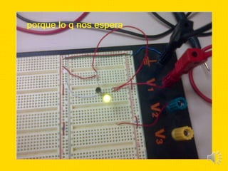 Fiesta telecomunicaciones