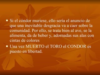 Si el cóndor muriese, ello sería el anuncio de que una inevitable desgracia va a caer sobre la comunidad. Por ello, se trata bien al ave, se la alimenta, da de beber y, adornadas sus alas con cintas de colores Una vez MUERTO el TORO el CONDOR es puesto en libertad.  