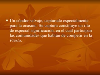Un cóndor salvaje, capturado especialmente para la ocasión. Su captura constituye un rito de especial significación, en el cual participan las comunidades que habrán de competir en la  Fiesta .  