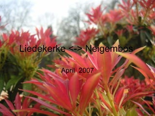 Liedekerke <-> Neigembos  April  2007 