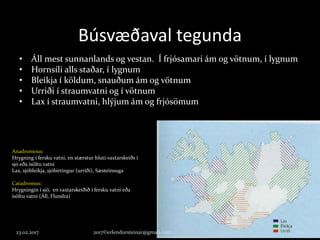 23.02.2017 2017©erlendursteinar@gmail.com 11
Búsvæðaval tegunda
• Áll mest sunnanlands og vestan. Í frjósamari ám og vötnum, í lygnum
• Hornsíli alls staðar, í lygnum
• Bleikja í köldum, snauðum ám og vötnum
• Urriði í straumvatni og í vötnum
• Lax í straumvatni, hlýjum ám og frjósömum
Anadromous:
Hrygning í fersku vatni, en stærstur hluti vaxtarskeiðs í
sjó eða ísöltu vatni
Lax, sjóbleikja, sjóbirtingur (urriði), Sæsteinsuga
Catadromus:
Hrygningin í sjó, en vaxtarskeiðið í fersku vatni eða
ísöltu vatni (Áll, Flundra)
 