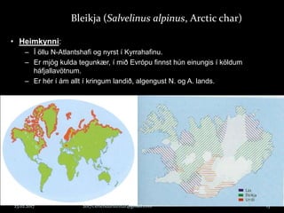 23.02.2017 2017©erlendursteinar@gmail.com 13
Bleikja (Salvelinus alpinus, Arctic char)
• Heimkynni:
– Í öllu N-Atlantshafi og nyrst í Kyrrahafinu.
– Er mjög kulda tegunkær, í mið Evrópu finnst hún einungis í köldum
háfjallavötnum.
– Er hér í ám allt í kringum landið, algengust N. og A. lands.
 