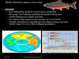 23.02.2017 2017©erlendursteinar@gmail.com 17
Bleikja (Salvelinus alpinus, Arctic char)
• Lífshættir:
– Sumir bleikjustofnar sig alla tíð í vötnum og ám (vatnableikja)
– Aðrir ganga í sjó til fæðuleitar (sjóbleikja eða sjóreyður) líkt og laxinn
– Lífsferill sjóbleikjunar er svipaður sjóurriðans
– Hún virðist þó halda sig grynnra og er einungis í sjó í um 2 mánuði.
– Lífshættir vatnableikju eru mjög fjölbreyttir og er bleikjan að þessu leyti mjög
“plastísk” tegund. Þ.e. hún er fljót að aðlgaga sig aðstæðum.
 