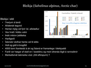 23.02.2017 2017©erlendursteinar@gmail.com 19
Bleikja (Salvelinus alpinus, Arctic char)
Bleikja í eldi
• Í kerjum á landi
• Alíslensk tegund
• Hentar mjög vel fyrir ísl. aðstæður
• Vex hratt í köldu vatni
• Þolir mikinn þéttleika
• Harðgerð
• Íslenskir stofnar henta vel til eldis
• Holl og góð á bragðið
• 4000 tonn framleidd á ári og Ísland er framarlega í bleikjueldi
• Farið var hægar af stað en í laxeldinu og meiri áhersla lögð á rannsóknir
• Markaðsmál takmarka vöxt ,(lítil eftirspurn) ?
http://www.lfh.is/hagtolur-eldid.htm
 