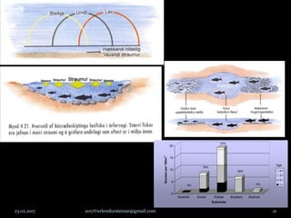 23.02.2017 2017©erlendursteinar@gmail.com 21
0
5
10
15
20
Numberper100m2
Sand/silt Gravel Rubble Boulders Bedrock
Substrate
4+
3+
2+
1+
16%
57%
25%
2%0%
Age
 
