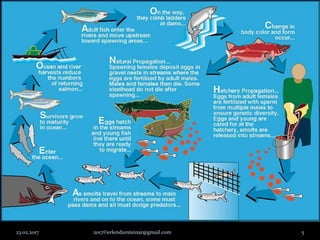 23.02.2017 2017©erlendursteinar@gmail.com 5
 