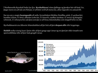23.02.2017 2017©erlendursteinar@gmail.com 7
Í Norðanverðu Kyrrahafi hefur lax (þ.e. Kyrrhafslaxar) sömu þýðingu og þorskur hér við land. Þ.e.
þegar menn eru að tala um fisk þar, er yfirleitt verið að meina lax, aðrar tegundir eru aukaatriði.
Þar eru um 5 megin laxategundir að ræða, fyrrnefndann bleiklax (hnúðlax, pink, O. gorbuscha),
hundlax (chum, O. keta), silfurlax (coho lax, O. kisutch), rauðlax (sockeye, O. nerca) og kóngalax
(chinook, O. tshawytscha) auk þess sem þar er að finna Atlantshafslax sem sloppið hefur úr eldi.
Kyrrhafslaxarnir eru öðruvísi Atlantshafslaxi að því leiti að þeir drepast allir eftir hrygningu.
Holdið verður einnig laust í þeim eftir að þeir ganga upp í árnar og eru þeir því ekki vinsælir sem
sportveiðifiskar eftir að þeir hafa gengið í árnar.
 
