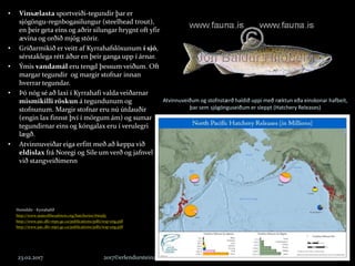 Atvinnuveiðum og stofnstærð haldið uppi með ræktun eða einskonar hafbeit,
þar sem sjógönguseiðum er sleppt (Hatchery Releases)
23.02.2017 2017©erlendursteinar@gmail.com 8
• Vinsælasta sportveiði-tegundir þar er
sjógöngu-regnbogasilungur (steelhead trout),
en þeir geta eins og aðrir silungar hrygnt oft yfir
ævina og orðið mjög stórir.
• Gríðarmikið er veitt af Kyrrahafslöxunum í sjó,
sérstaklega rétt áður en þeir ganga upp í árnar.
• Ýmis vandamál eru tengd þessum veiðum. Oft
margar tegundir og margir stofnar innan
hverrar tegundar.
• Þó nóg sé að laxi í Kyrrahafi valda veiðarnar
mismikilli röskun á tegundunum og
stofnunum. Margir stofnar eru nú útdauðir
(engin lax finnst því í mörgum ám) og sumar
tegundirnar eins og kóngalax eru í verulegri
lægð.
• Atvinnuveiðar eiga erfitt með að keppa við
eldislax frá Noregi og Síle um verð og jafnvel
við stangveiðimenn
Heimildir - Kyrrahafið
http://www.stateofthesalmon.org/hatcheries/#study
http://www.pac.dfo-mpo.gc.ca/publications/pdfs/wsp-eng.pdf
http://www.pac.dfo-mpo.gc.ca/publications/pdfs/wsp-eng.pdf
 