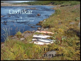 Laxfiskar
og
íslenskir ferskvatnsfiskar
21.03.2018 2018©erlendursteinar@gmail.com 1
FIF1106
21.03.2018
 