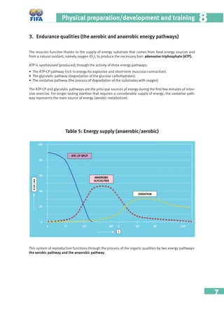 7
Physical preparation/development and training 88
3. Endurance qualities (the aerobic and anaerobic energy pathways)
The muscles function thanks to the supply of energy substrate that comes from food energy sources and
from a natural oxidant, namely oxygen (O2
), to produce the necessary fuel: adenosine triphosphate (ATP).
ATP is synthesised (produced) through the activity of three energy pathways:
• The ATP-CP pathway (rich in energy for explosive and short-term muscular contraction)
• The glycolytic pathway (degradation of the glucose carbohydrates)
• The oxidative pathway (the process of degradation of the substrates with oxygen)
The ATP-CP and glycolytic pathways are the principal sources of energy during the ﬁrst few minutes of inten-
sive exercise. For longer lasting exertion that requires a considerable supply of energy, the oxidative path-
way represents the main source of energy (aerobic metabolism).
Table 5: Energy supply (anaerobic/aerobic)
This system of reproduction functions through the process of the organic qualities by two energy pathways:
the aerobic pathway and the anaerobic pathway.

'
%
#
!

 $| | %| !z z z !z
c
:2P[X]
0C?2?B?;8C
G830C8=
0=04A182
6;H2;HB8B
 